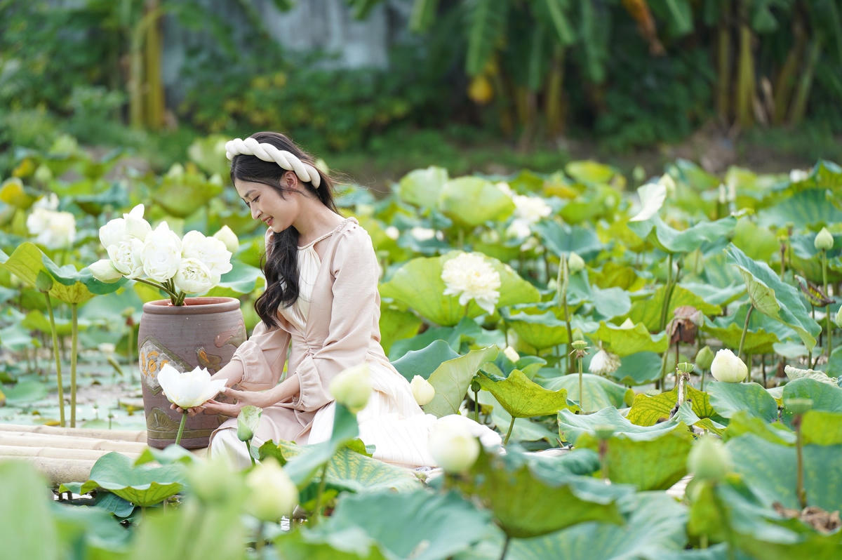 Tại Thanh Hoá, nhiều người không đợi sen về phố, người ta rủ nhau đón sen trong đầm, các thiếu nữ, những đôi lứa và các gia đình còn có thú vui chụp ảnh cùng hoa sen. Các chủ hồ sen cũng không bỏ qua cơ hội này để kiếm tiền, liền mở các dịch vụ chụp ảnh để phục vụ nhu cầu của các khách hàng.  