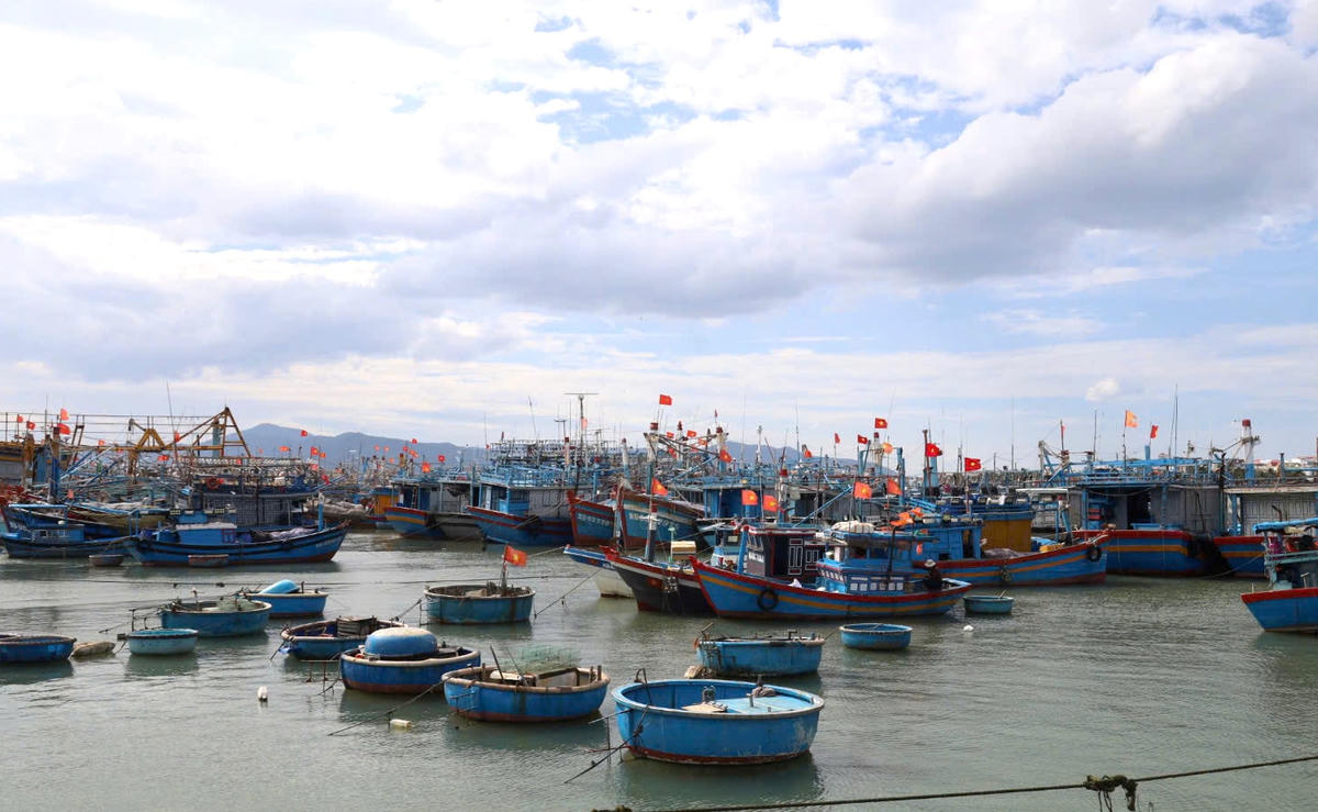 Dự án Khu neo đậu tránh trú bão đầm Đề Gi được Bộ Nông nghiệp và Phát triển nông thôn (nay là Bộ Nông nghiệp và Môi trường) phê duyệt từ tháng 11_2022