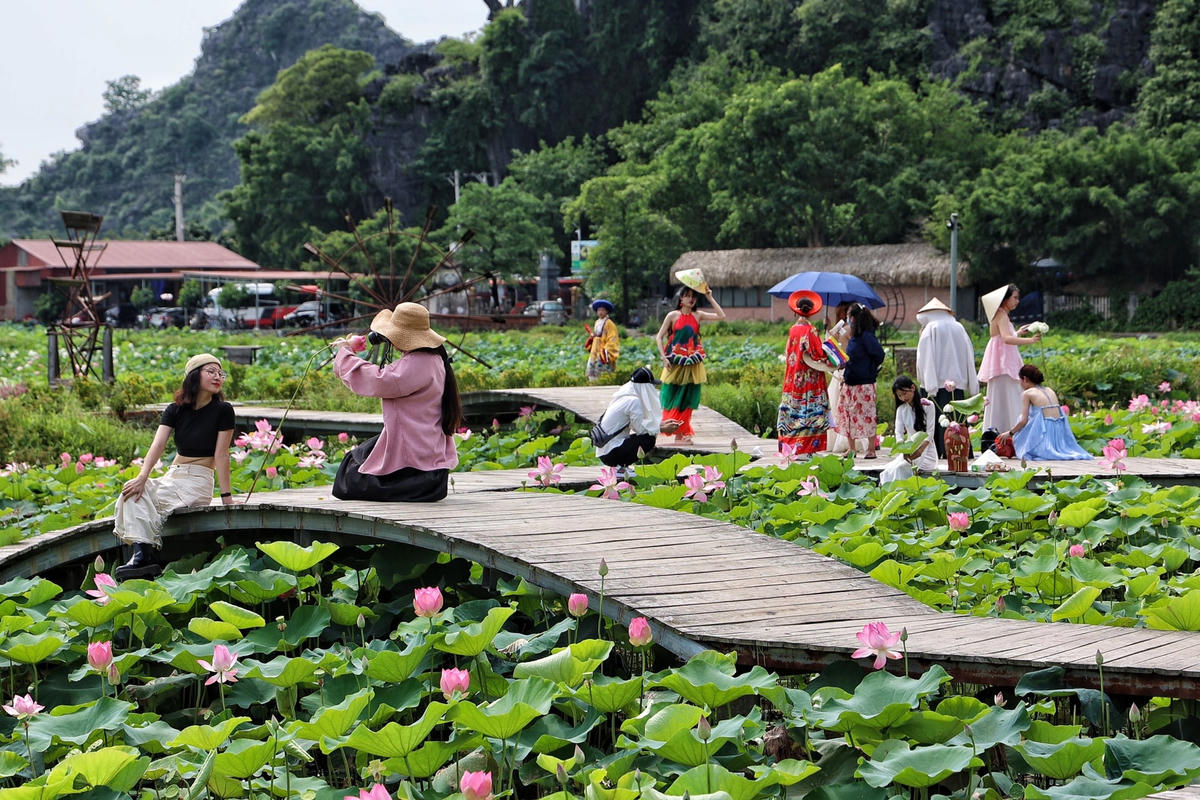 Chị Quỳnh Trang ở Hà Nội chia sẻ, thông qua mạng xã hội, chị biết được ngay cạnh khu di tích Hang Múa có một đầm sen rộng đang nở rộ đẹp, chị đã ngay lập tức rủ chồng sắp xếp công việc để đưa chị đi chơi vào dịp cuối tuần.