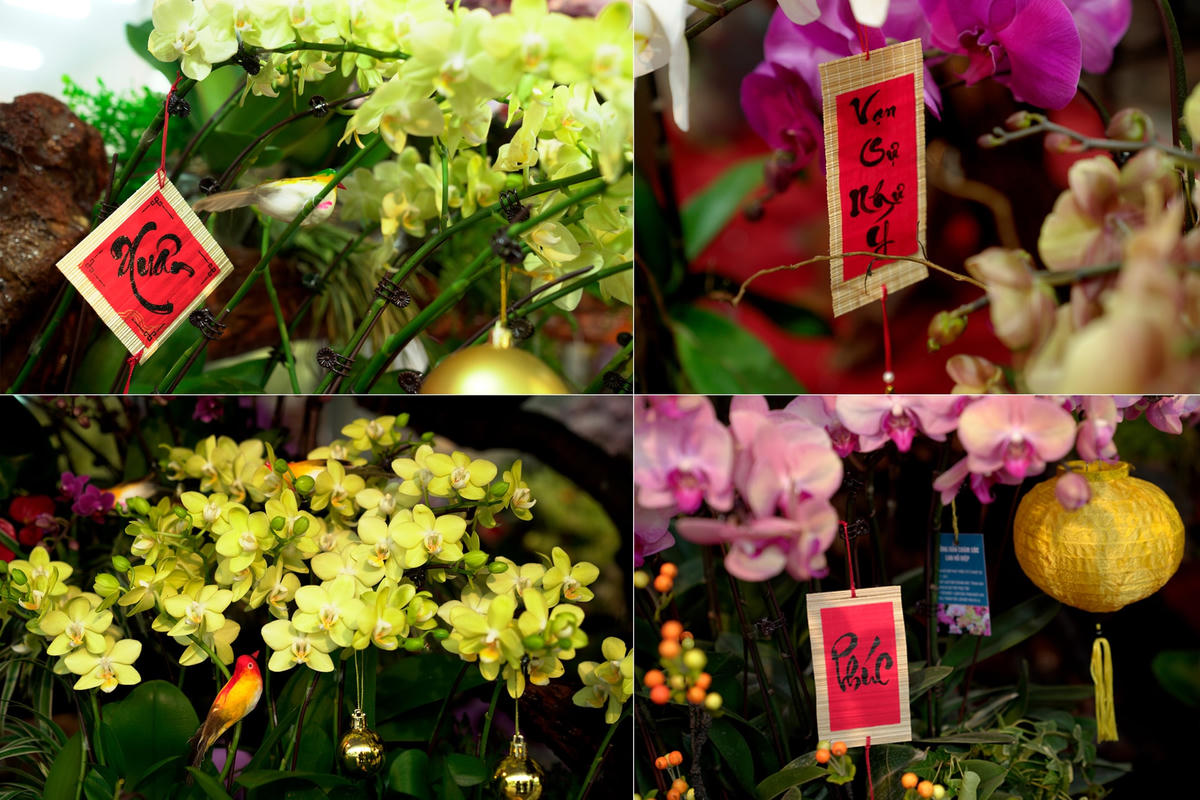 Ngoài ra, tại mỗi chậu lan những người nghệ nhân sẽ xen lẫn vào đó một số hoạ tiết trang trí khiến cho khách hàng cảm thấy sinh động và sang trọng hơn.