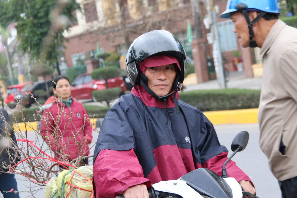 Nhiều người dân lựa chọn hoa đào về trưng bày Tết.