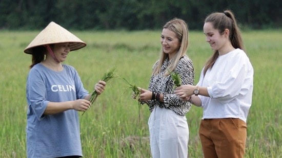 Sau "Ranh giới", đạo diễn Tạ Quỳnh Tư gia nhập đường đua phim Tết với “Mẹ ngóng con về”.