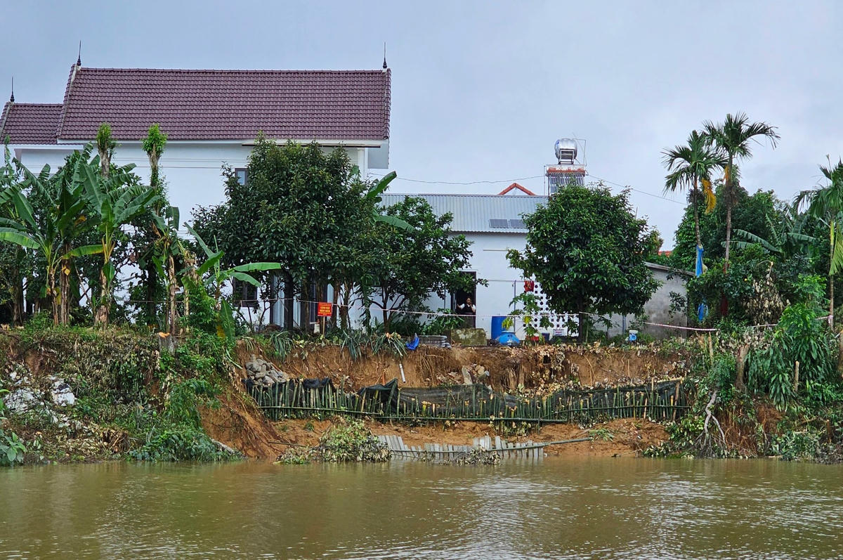 Người dân sử dụng cọc tre để gia cố tạm thời điểm sạt lở, hạn chế ăn sâu vào nhà. Ảnh: Nguyễn Quốc.