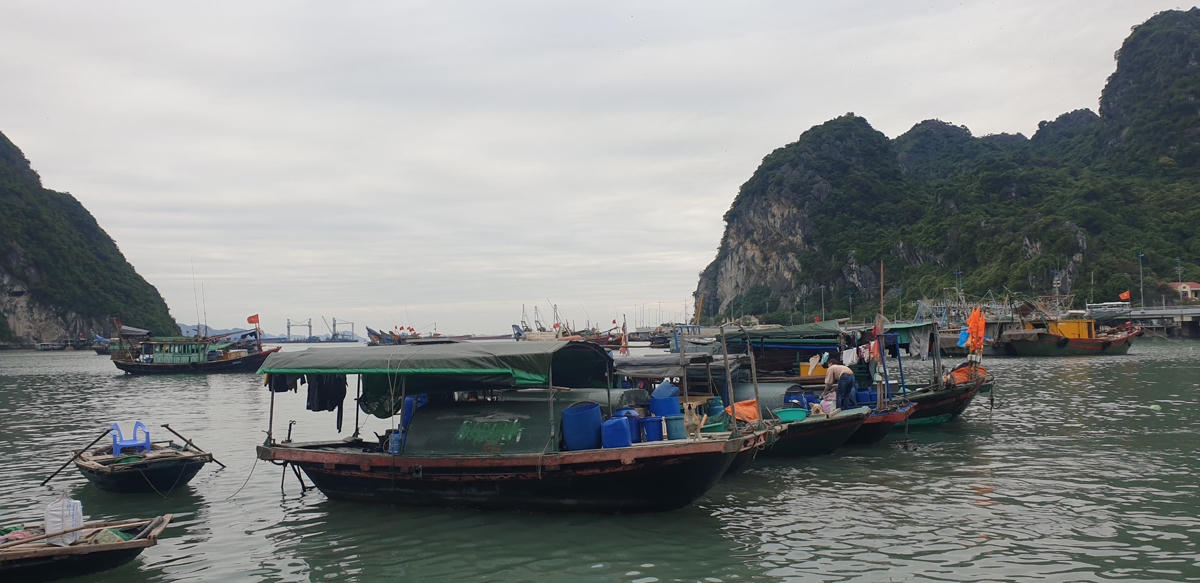 Ông Vũ Văn Duy, chủ tàu cá đang hoạt động tại vùng biển Quảng Ninh cho biết: “Ngay khi nhận được thông tin tạm ngừng cấp phép cho tàu thuyền ra khơi, tôi và bà con ngư dân đã đưa tàu về nơi trú ẩn an toàn”. Để yên tâm hơn, chiều ngày 19/10, ông còn huy động con cái ra để buộc chặt dây neo đậu để tránh trường hợp bão to, gió lớn có thể cuốn tàu ra ngoài.