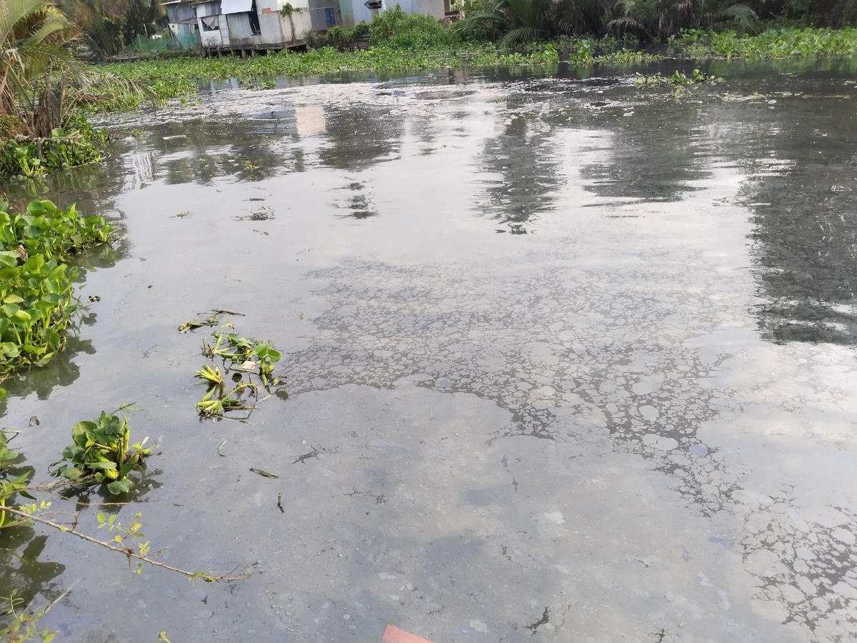 Váng dầu mỡ đọng lại trên mặt sông khu vực ô nhiễm chảy qua kênh ấp 18, ấp 19 ảnh hưởng đến sản xuất nông nghiệp của bà con nông dân nơi đây.