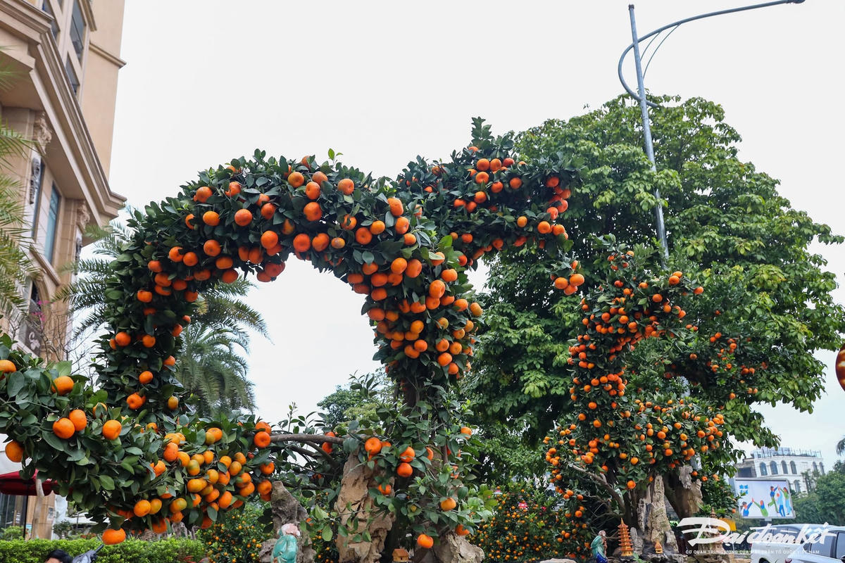 W_quyt-hinh-rong_le-khanh31.jpg