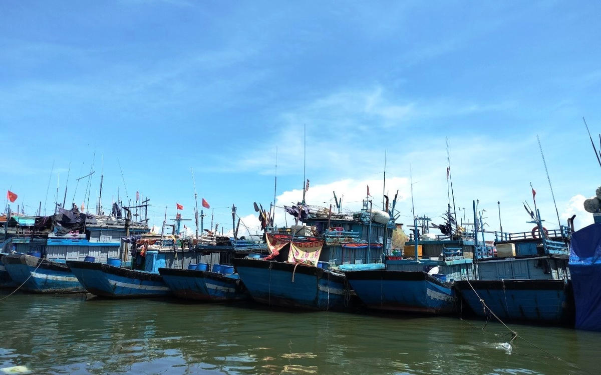 Tàu thuyền nằm bờ ở cảng cá Sa Kỳ (Quảng Ngãi).