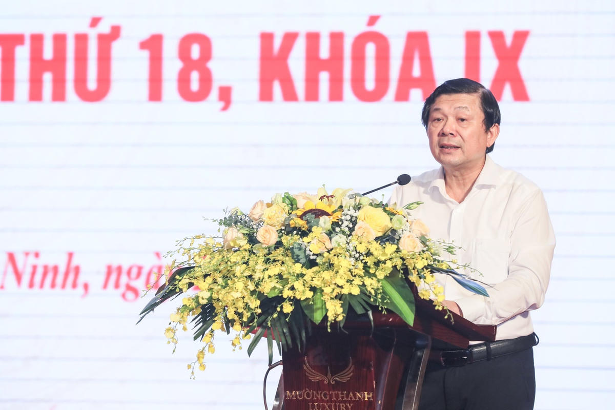 Phó Chủ tịch Nguyễn Hữu Dũng phát biểu tại Hội nghị. Ảnh: Quang Vinh.