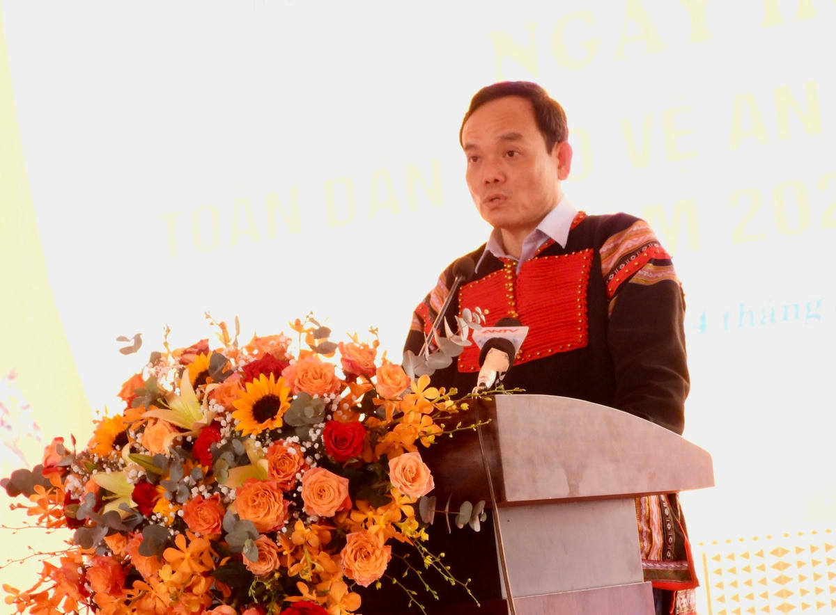 Phó Thủ tướng Trần Lưu Quang phát biểu.