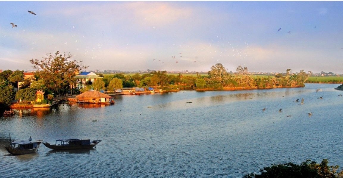 Khi ánh mặt trời dần khuất sau rặng tre cũng là thời điểm từng đàn chim bay về tổ.