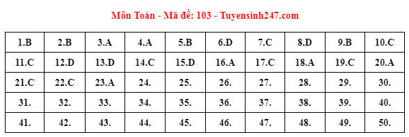 Gợi ý đáp án 24 mã đề thi Toán tốt nghiệp THPT năm 2023