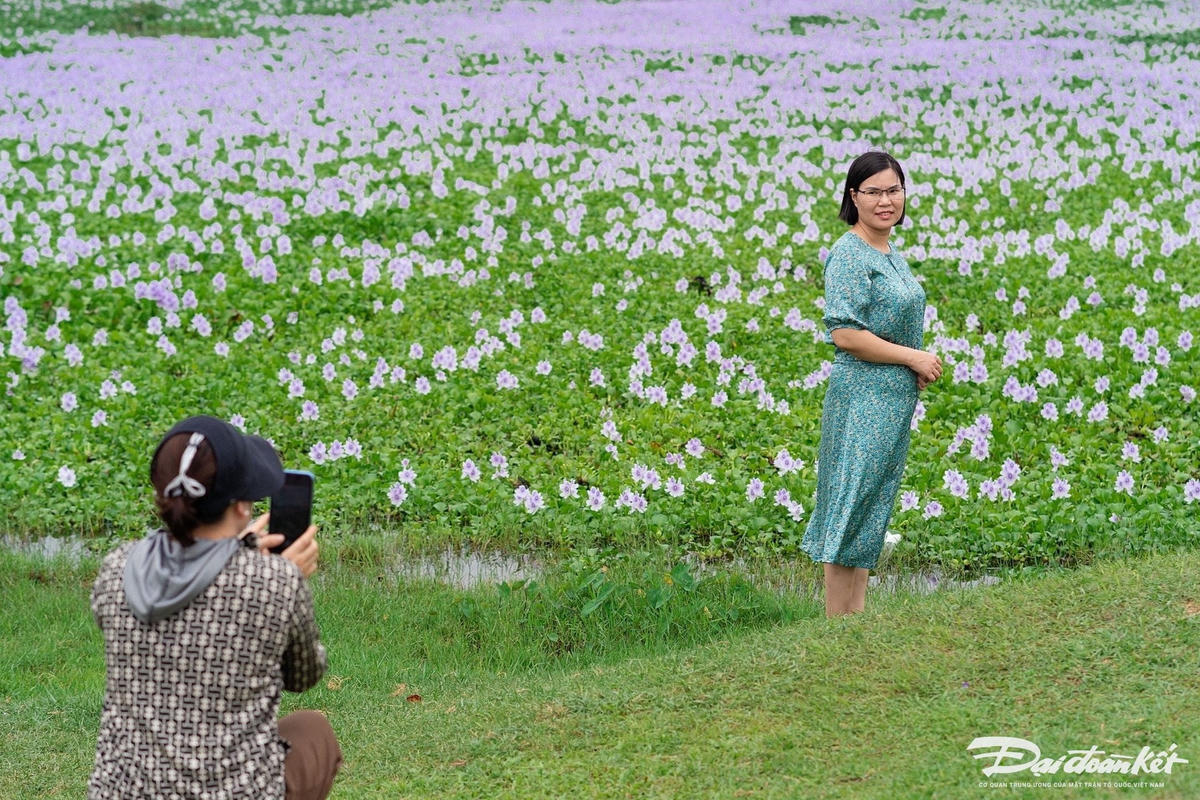 hoa_beo_tay-le-khanh10.jpg
