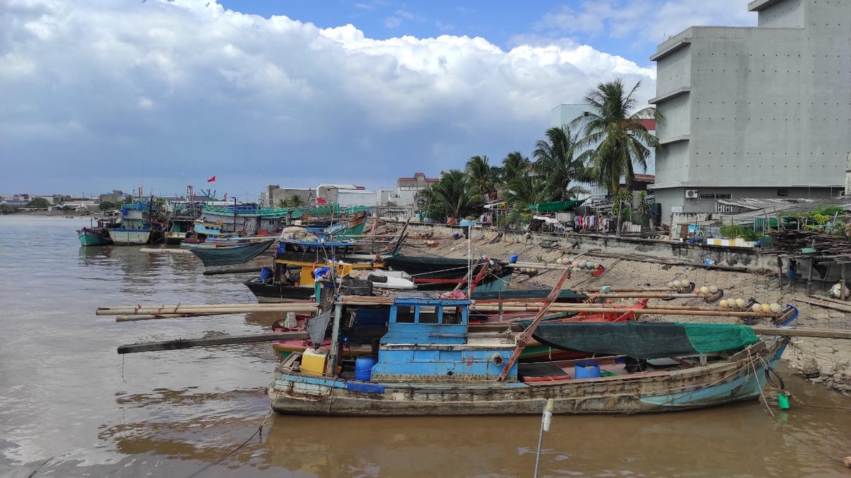 Giá xăng dầu tăng mạnh chi phí chuyến biển đội lên rất nhiều khiến ngư dân lao đao, tàu cá nằm bờ.
