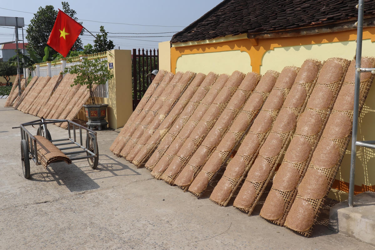 Ở làng Đắc Châu, mọi không gian đều như được dành cho việc phơi bánh. Bánh phơi trên giàn trước nhà trước ngõ, phơi trên mái ngói, phơi trên nóc nhà tầng, rồi trên cả bờ đê…