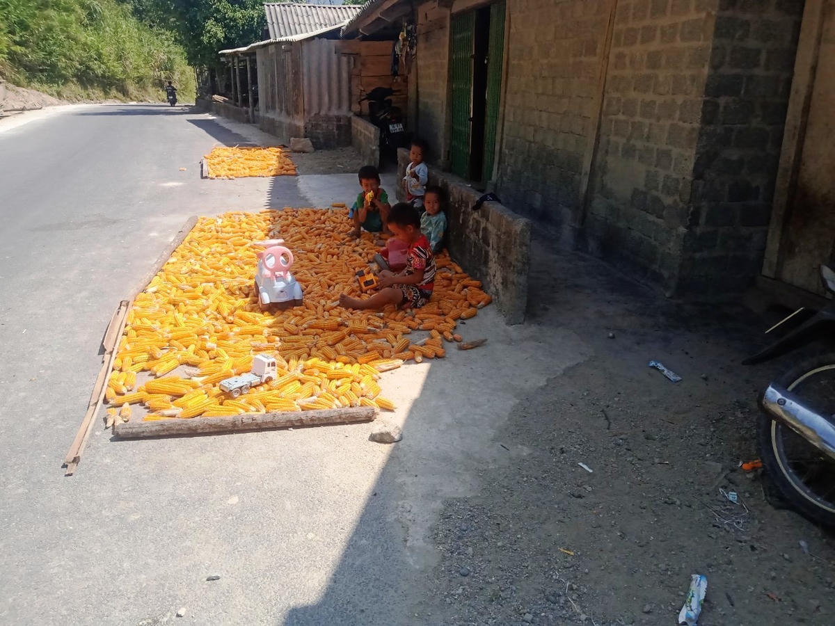 Những đứa trẻ ở Xa Lung.  