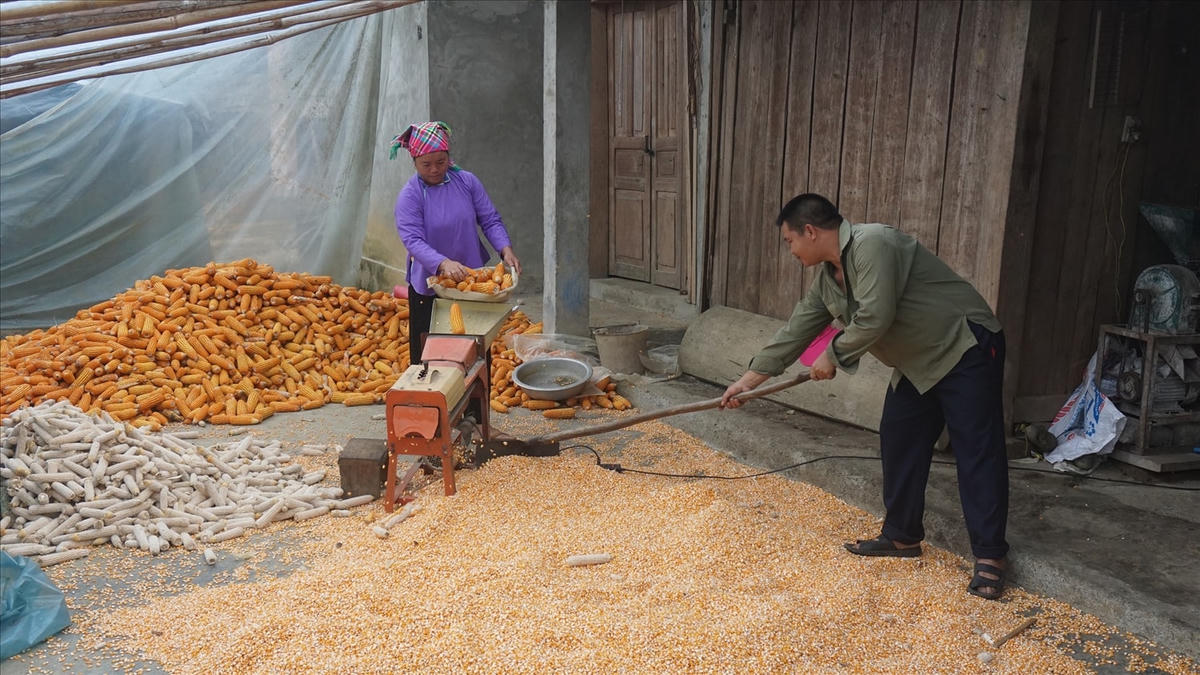 Chương trình MTQG có vai trò đặc biệt quan trọng trong xóa đói giảm nghèo đối với huyện Mường Khương.