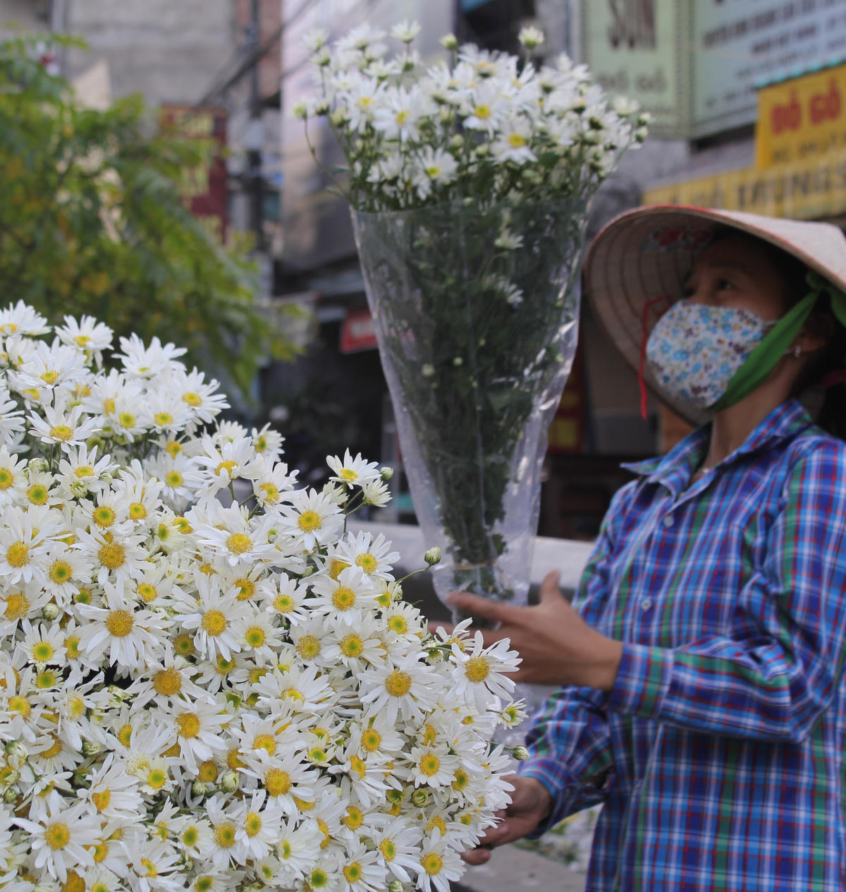 Những chuyến xe “chở mùa đi ngang phố”.