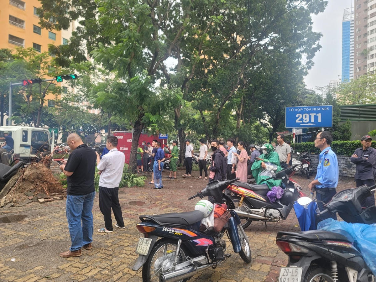 Sự việc thu hút sự theo dõi của nhiều cư dân sống gần đó và người đi đường.