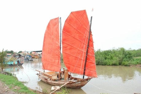 Mất hút những cánh chim