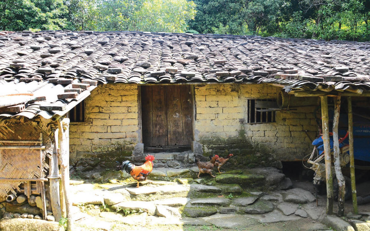 Ngôi nhà gạch đất cổ của gia đình bà Nình Móc Màu ở thôn Khe Lục, xã Đại Dực, huyện Tiên Yên. Căn nhà này dựng từ năm 1969.