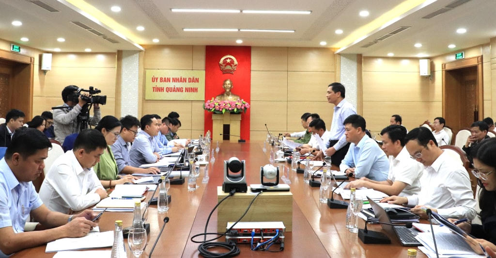 Theo báo cáo tại buổi làm việc, hiện trên địa bàn Quảng Ninh, Tập đoàn Công nghiệp Than - Khoáng sản Việt Nam (TKV), Tổng Công ty Đông Bắc đang tiến hành khai thác than theo 47 giấy phép. Ảnh: QMG