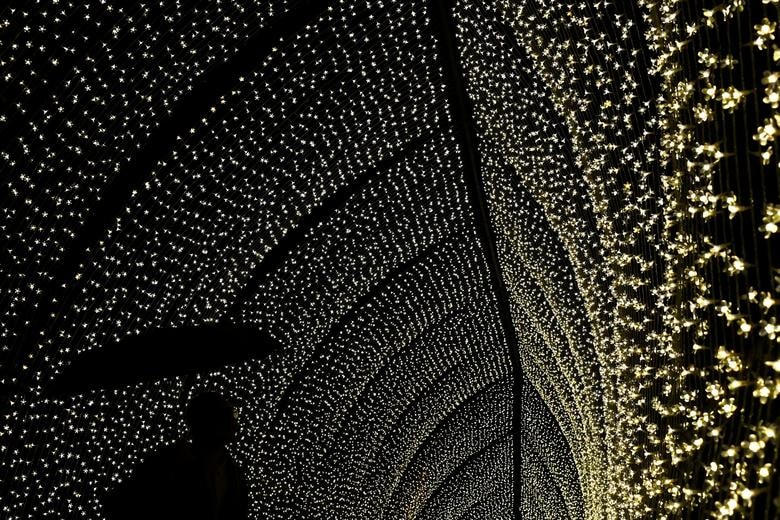 Nghệ thuật sắp đặt ánh sáng trên con đường Giáng sinh tại Kew Gardens, ở London, Anh.