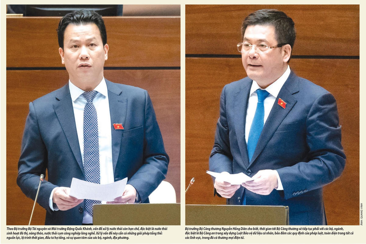 1-a1.jpg