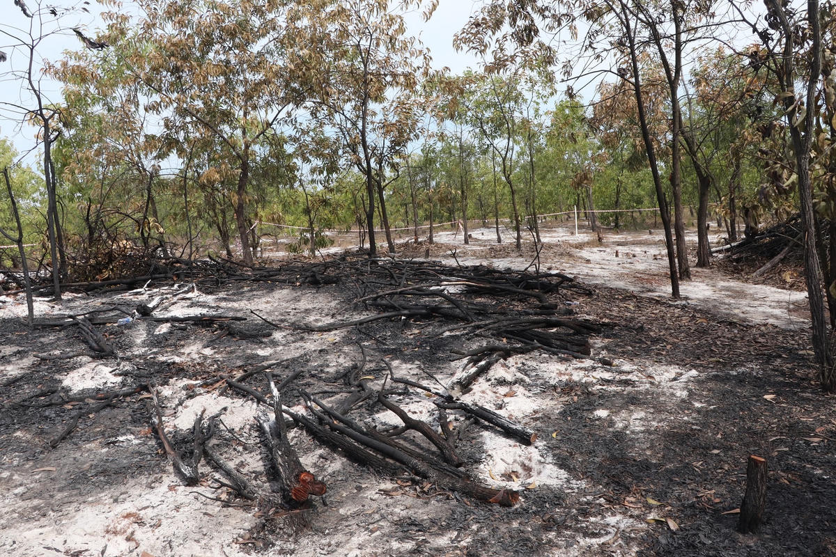 Một góc nơi diễn tập phòng chống cháy rừng.