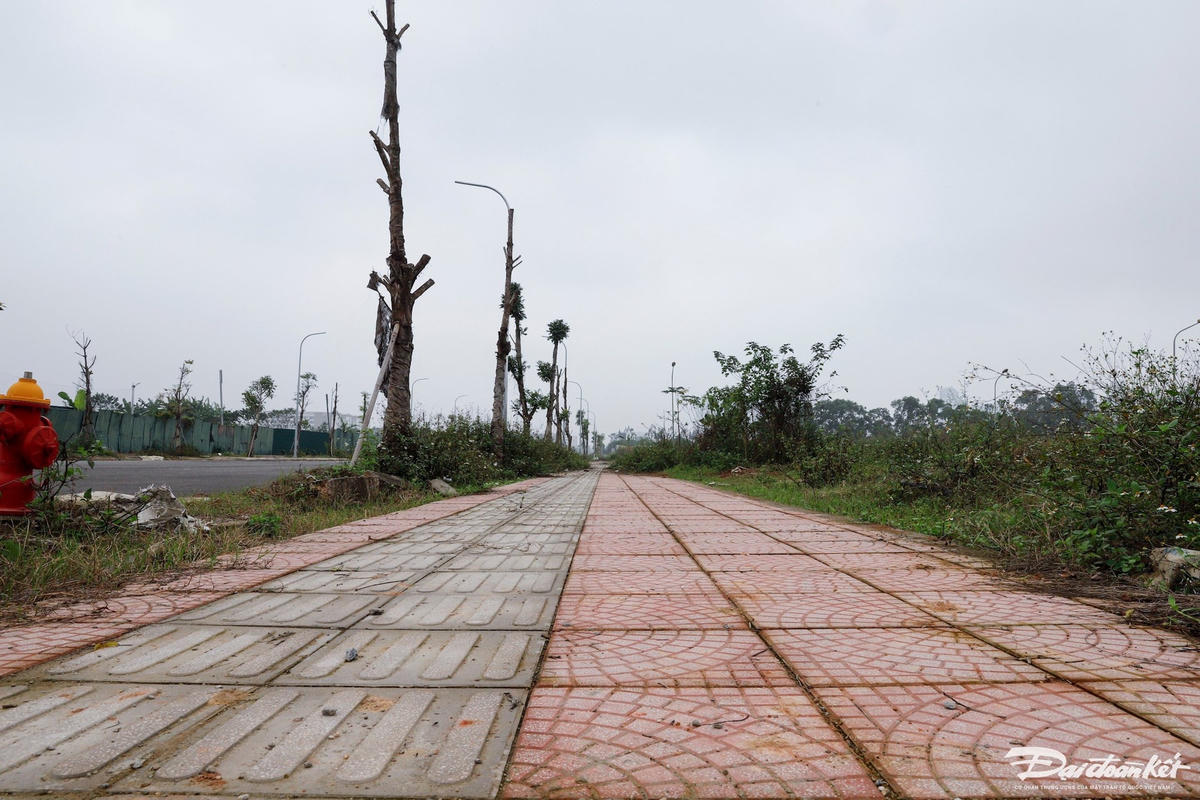 du_an_giao_thong-le-khanh11.jpg