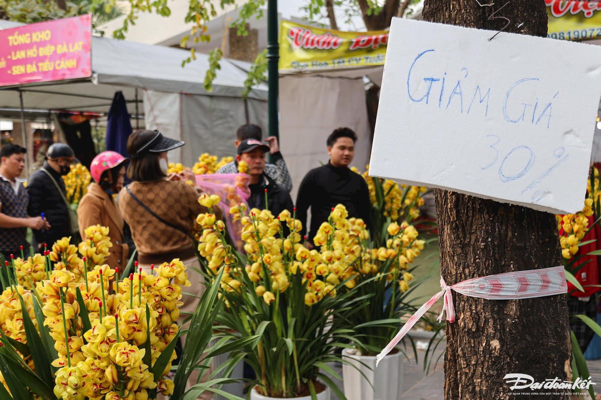 quat_dao-le-khanh61.jpg