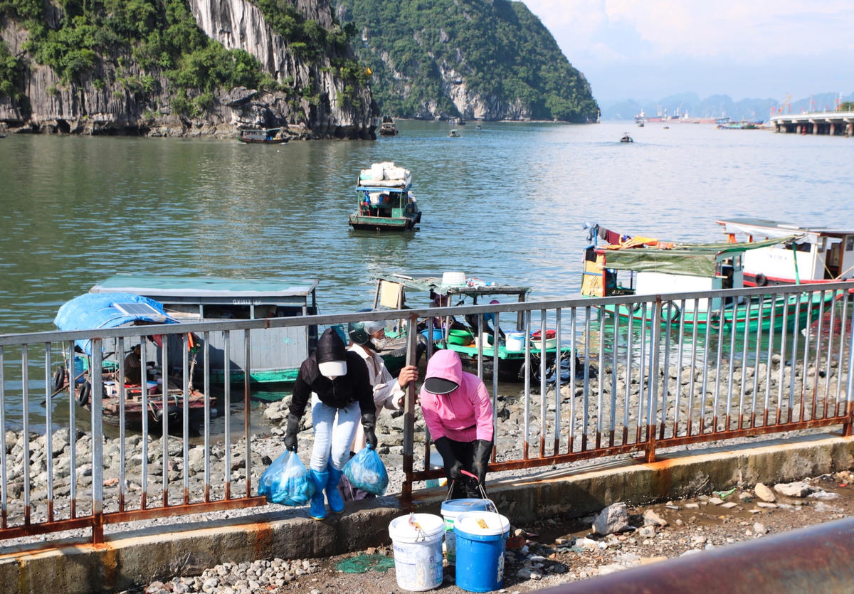 Mặc dù chính quyền phường Bạch Đằng (TP Hạ Long) đã cho xây dựng hàng rào để ngăn chặn hoạt động tập kết, trung chuyển hàng hóa ở khu vực bến cá cũ nhưng người dân vẫn "phá rào"  vận chuyển hàng hóa lên xuống.