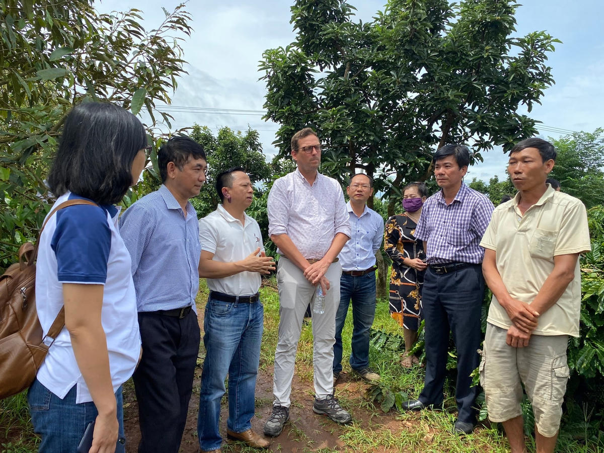 Huyện Cư M’gar (Đắk Lắk) triển khai nhiều giải pháp hữu hiệu, phát triển cây cà phê bền vững