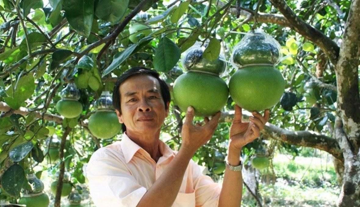 Nông dân miền Tây lo lắng trước mùa Tết 2023.