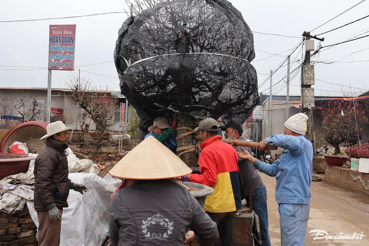 W_dao_nhat_tan-le-khanh13.jpg