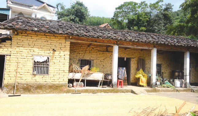 Gạch để xây nhà được làm từ bùn lấy ở ruộng sau đó đóng thành viên. Để gắn kết các viên gạch, đồng bào Tày ở Bình Liêu dùng chính đất ruộng được nhào nhuyễn chứ không dùng bất cứ loại nguyên liệu nào khác.
