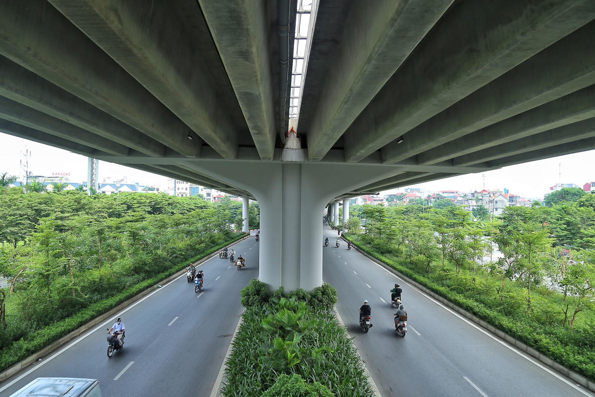 Hầu hết, hai bên đường Phạm Văn Đồng là giáng hương cao khoảng 5 m, đường kính hơn 30 cm và tán rộng vài m2.