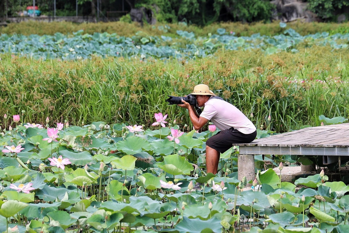 Còn đối với mỗi thợ chụp ảnh lẻ, có thể thu nhập vài triệu đồng mỗi ngày.