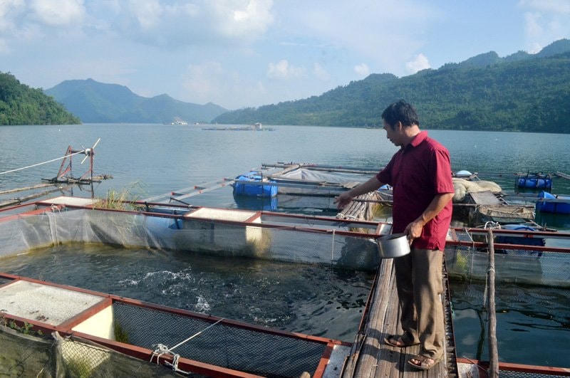 Nuôi cá lồng hồ mở ra cơ hội mới thúc đẩy giao thương, cải thiện đời sống người dân.