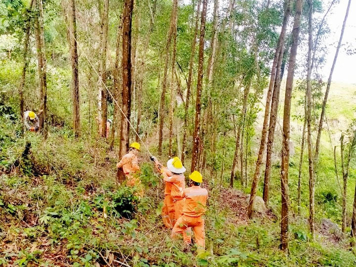 Công nhân Đội QLVHLĐCT phát quang hành lang đảm bảo an toàn lưới điện.