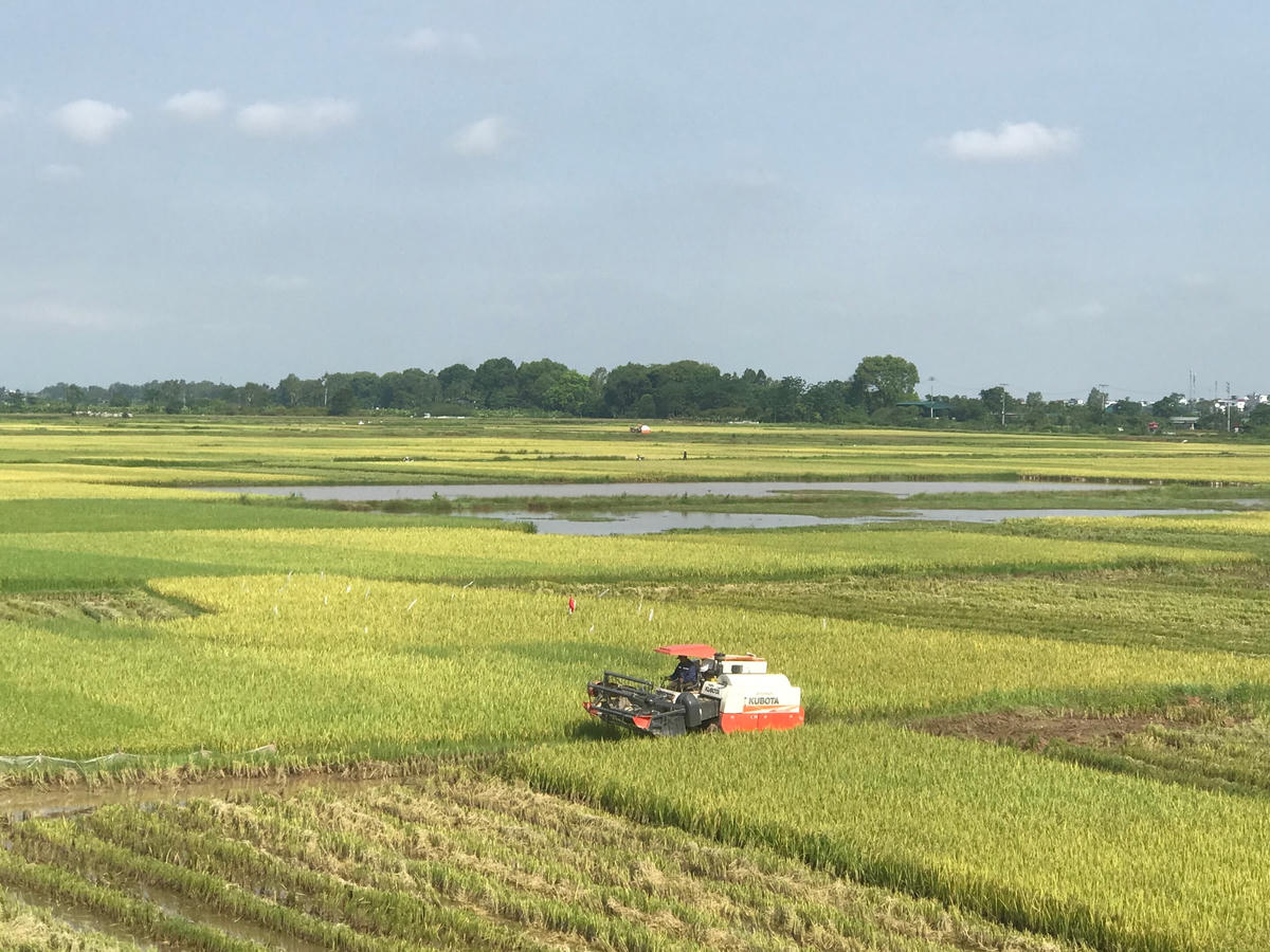 Đẩy mạnh xanh hóa để thích ứng với yêu cầu của thời kỳ mới. Ảnh: Việt Khánh.