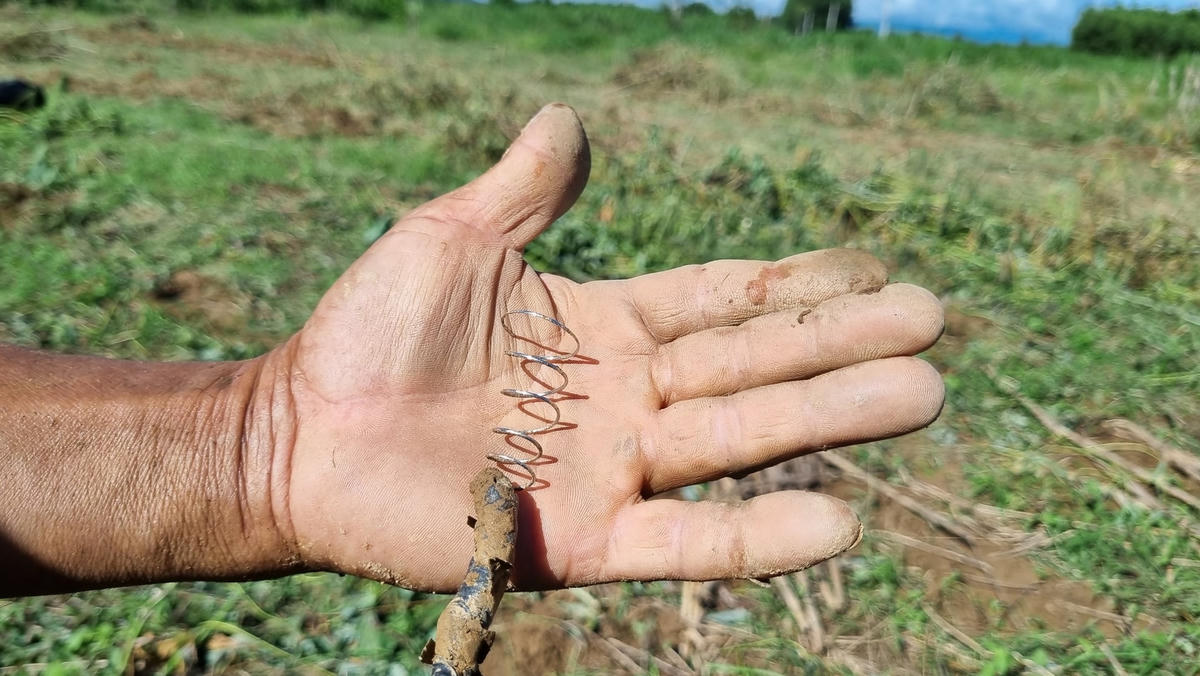 Dụng cụ người dân tự làm để bắt dế.