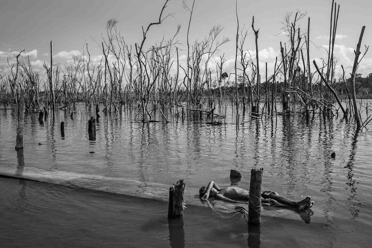 Giải Ảnh Báo chí thế giới - Hạng mục Dự án dài hạn: "Amazonian Dystopia". Tác giả: Lalo de Almeida (Brazil).  