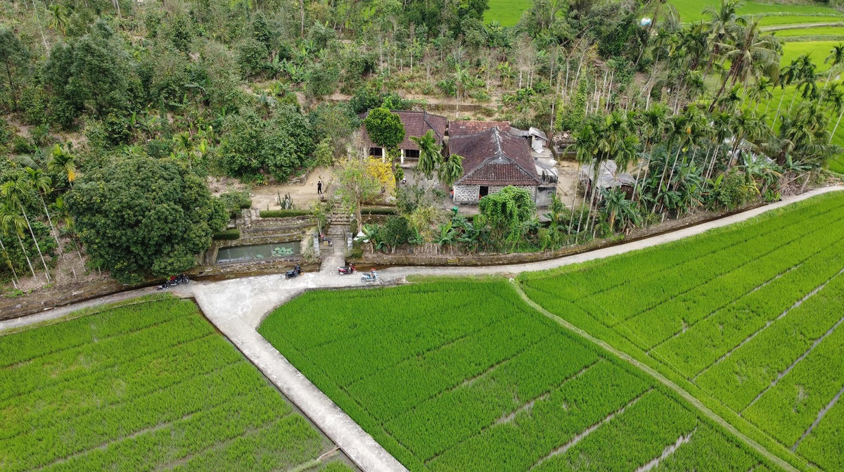 Một góc làng quê Lộc Yên với ruộng đồng, vườn và nhà cổ.