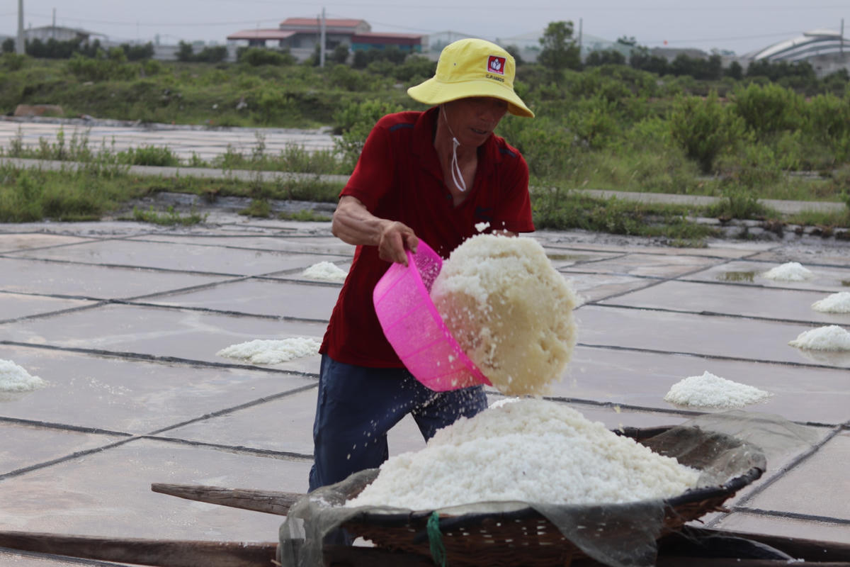 Phần đa những người cao tuổi ở trên đồng muối Tam Hòa đều nói rằng, họ đi làm là để tự lo cho bản thân, họ không muốn mình trở thành gánh nặng của con cái.