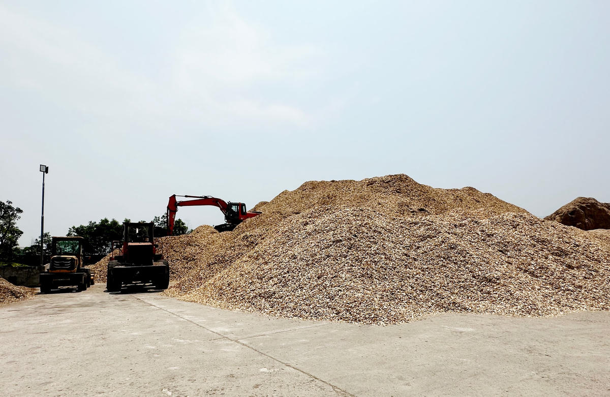 Nhiều doanh nghiệp tồn đọng rất lớn dăm gỗ vì không xuất bán được.