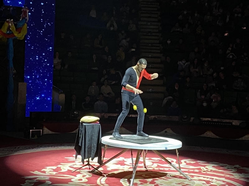 Tiết mục biểu diễn dự thi của nghệ sĩ xiếc đến từ Ai Cập.