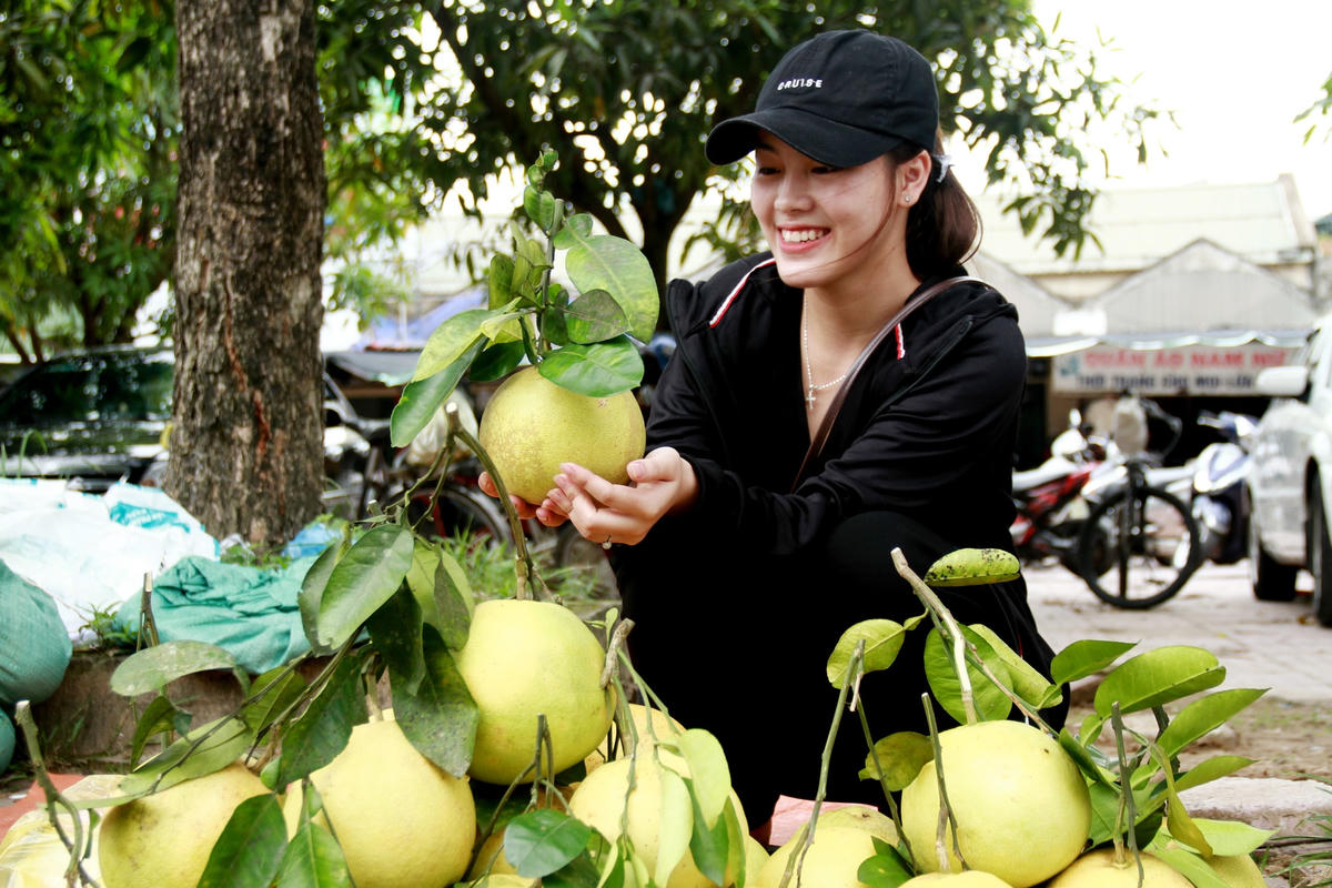 Thương hiệu bưởi Hương Khê cũng không thể thiếu trong không khí Rằm tháng Bảy.