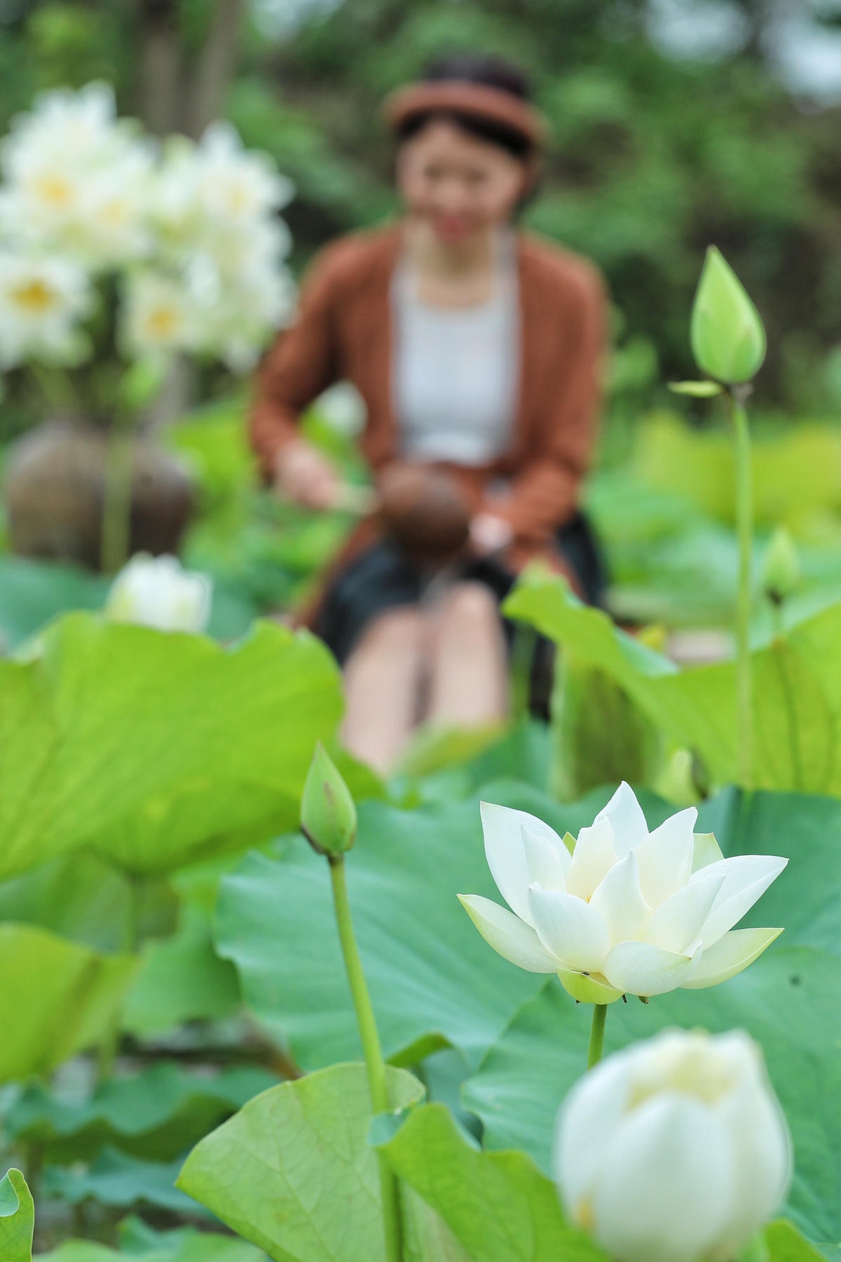 Hoa sen trắng có màu trắng tinh khôi, một màu trắng sáng, thuần khiết nhất, cánh sen mỏng nhẹ và nhô khỏi mặt nước. Nụ hoa khép kín có hình như hai bàn tai chụm vào nhau, lúc chưa nở nhìn nụ hoa có màu xanh trắng nhưng khi nở bung nó có màu trắng đẹp, những cánh hoa xếp so le và san sát nhau, khi nở nhìn bông hoa thật rực rỡ, xòe to để lộ ra lớp nhị hoa bên trong, nhị có màu vàng và bao phủ lấy chiếc đài sen. 
