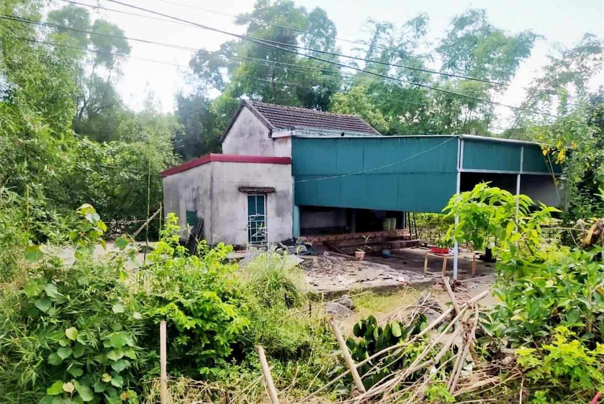 Căn nhà cấp 4 của chị Phan Thị N. nằm trên QL 15B thuộc khu vực vắng vẻ, xung quanh cây cối mọc um tùm.