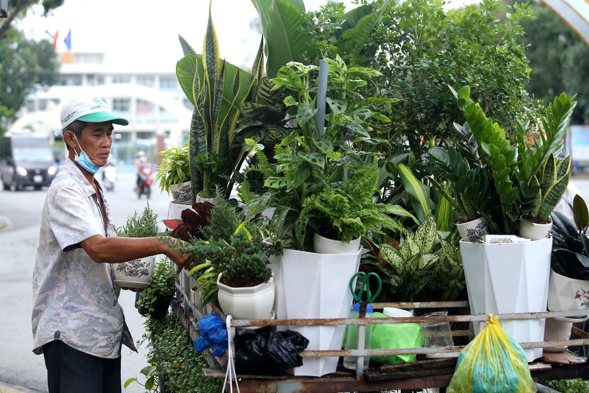 Tài sản của ông Chương là toàn bộ số hoa kiểng trên xe ba gác.  